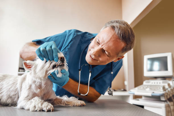 Best 24-Hour Emergency Dental Care in Americus, GA